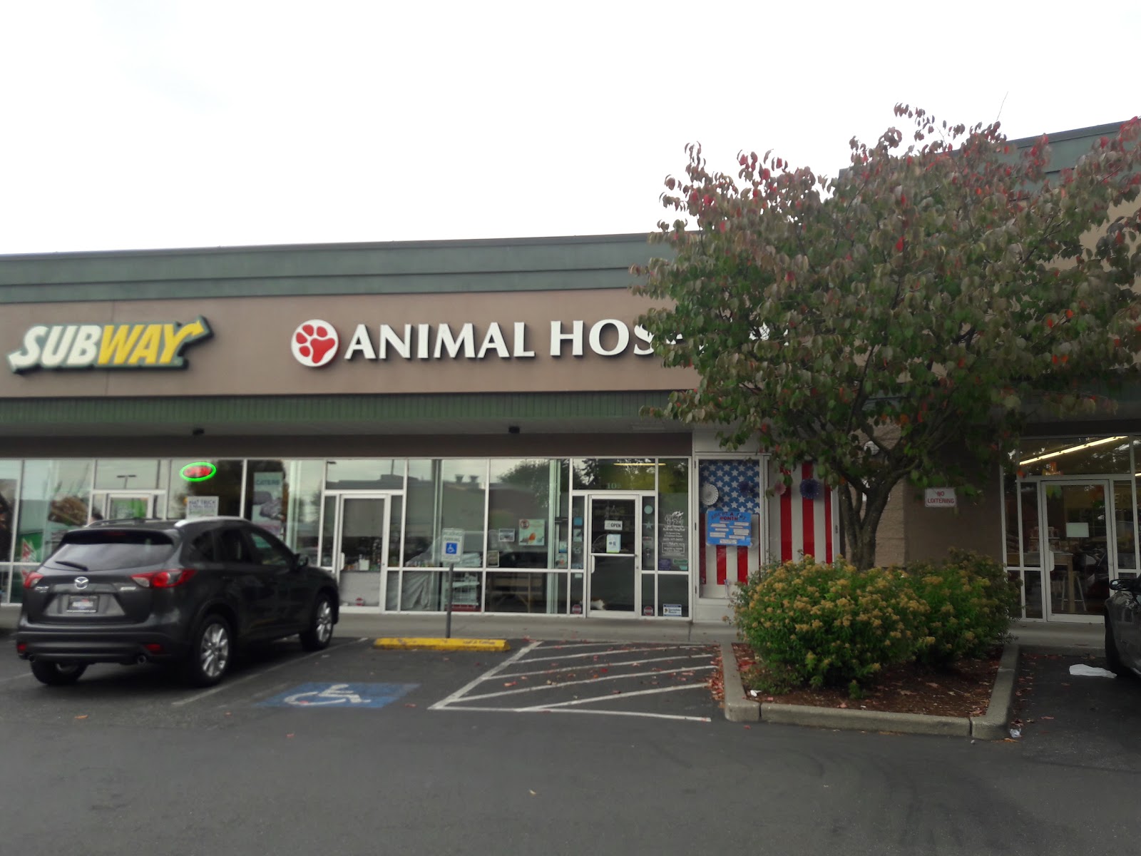 Lake Stevens Animal Hospital For Urgent Care Wellness Care And Surgical Care - Lake Stevens , United States