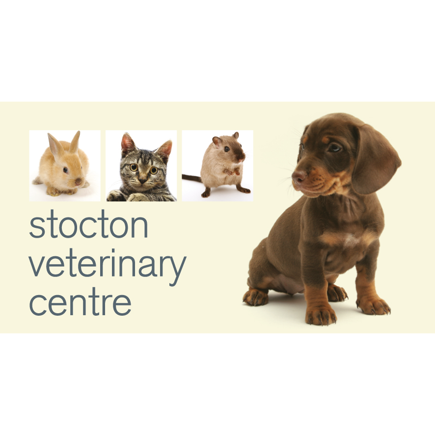 Medivet Guildford - Guildford , United Kingdom