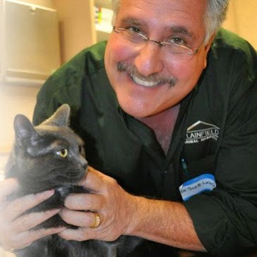 Plainfield Animal Hospital - South Plainfield , United States