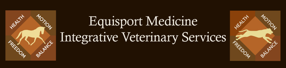 Christin Finn Dvm - Kingston , United States