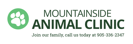 Mountainside Animal Clinic - Burlington , Canada
