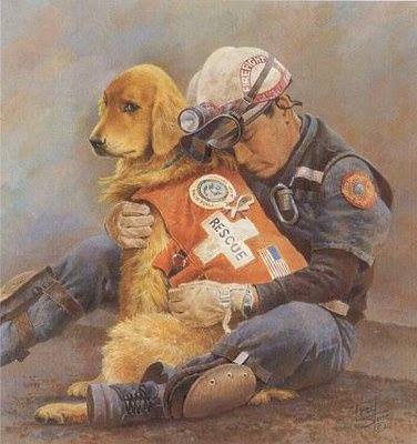 Vet At The Barn - Spring Valley , United States