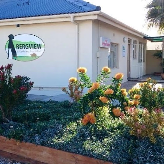 Bergview Veterinary Hospital - Hermanus , South Africa