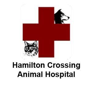 Hamilton Crossing Animal Hospital - Westfield , United States