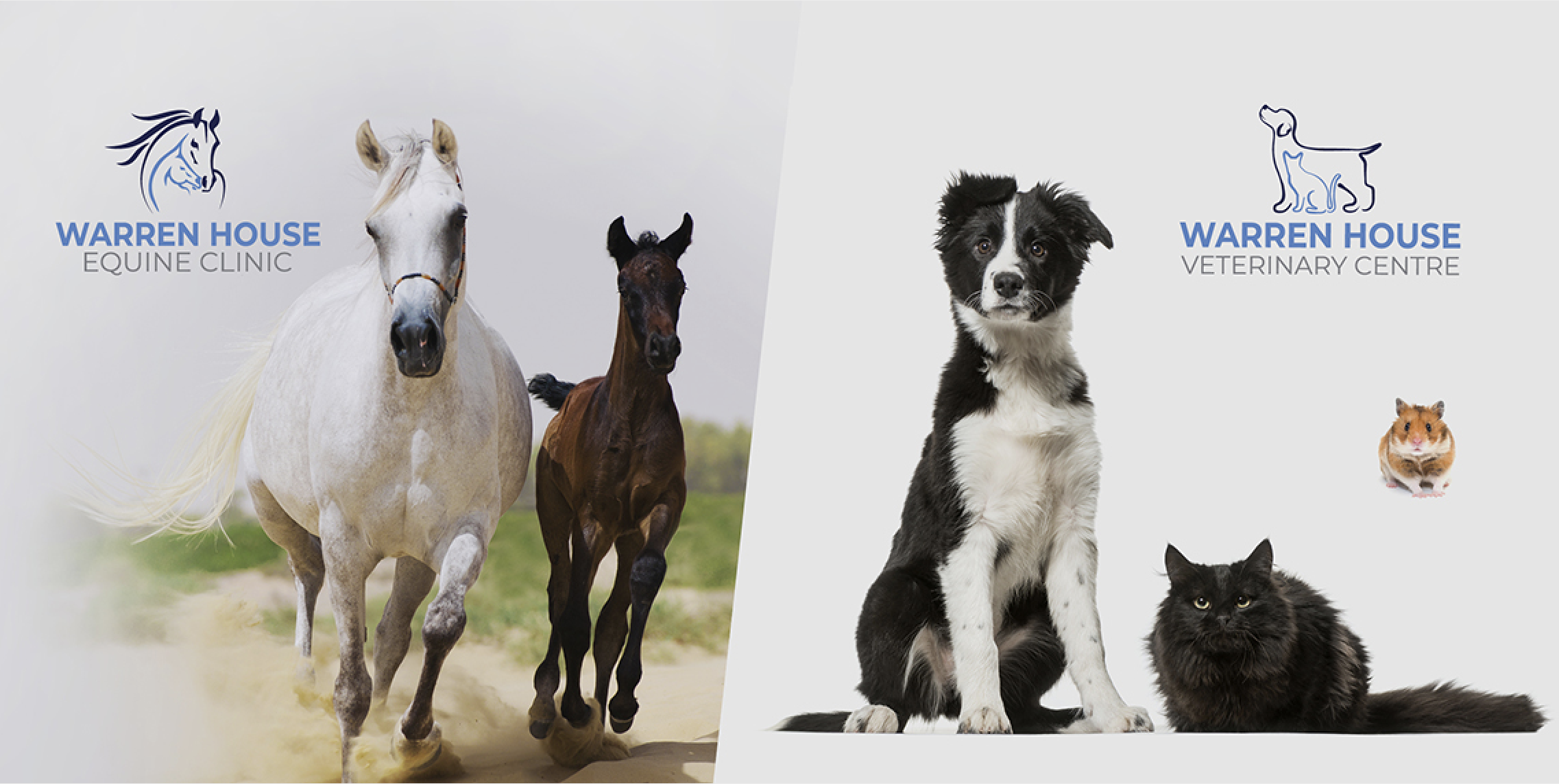 Warren House Veterinary Centre Ltd / Best Uk Vets 2024 - Walsall , United Kingdom