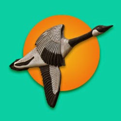 Newaygo Veterinary Services - Newaygo , United States