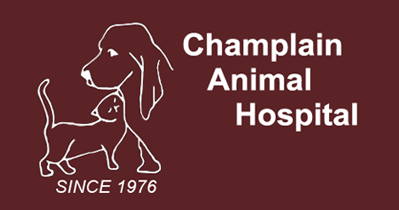 Champlain Animal Hospital - Peterborough , Canada