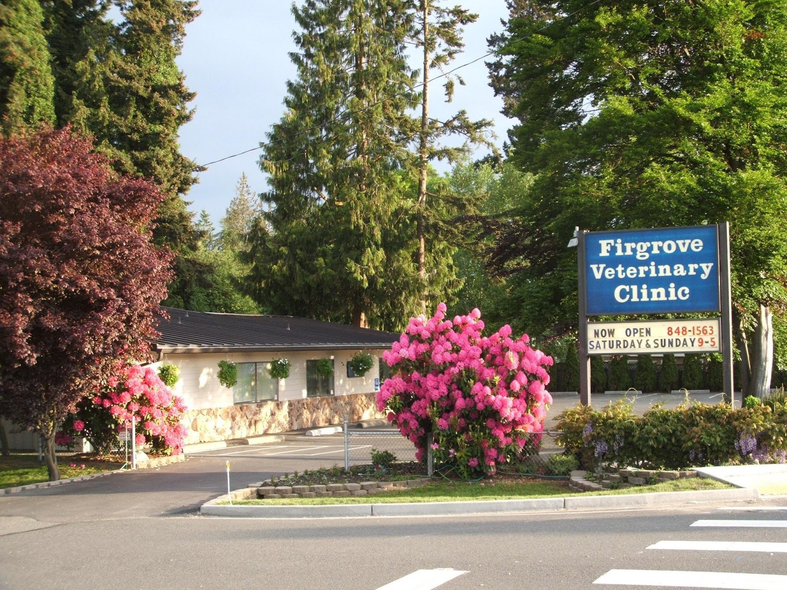 Firgrove Veterinary Hospital - Puyallup , United States