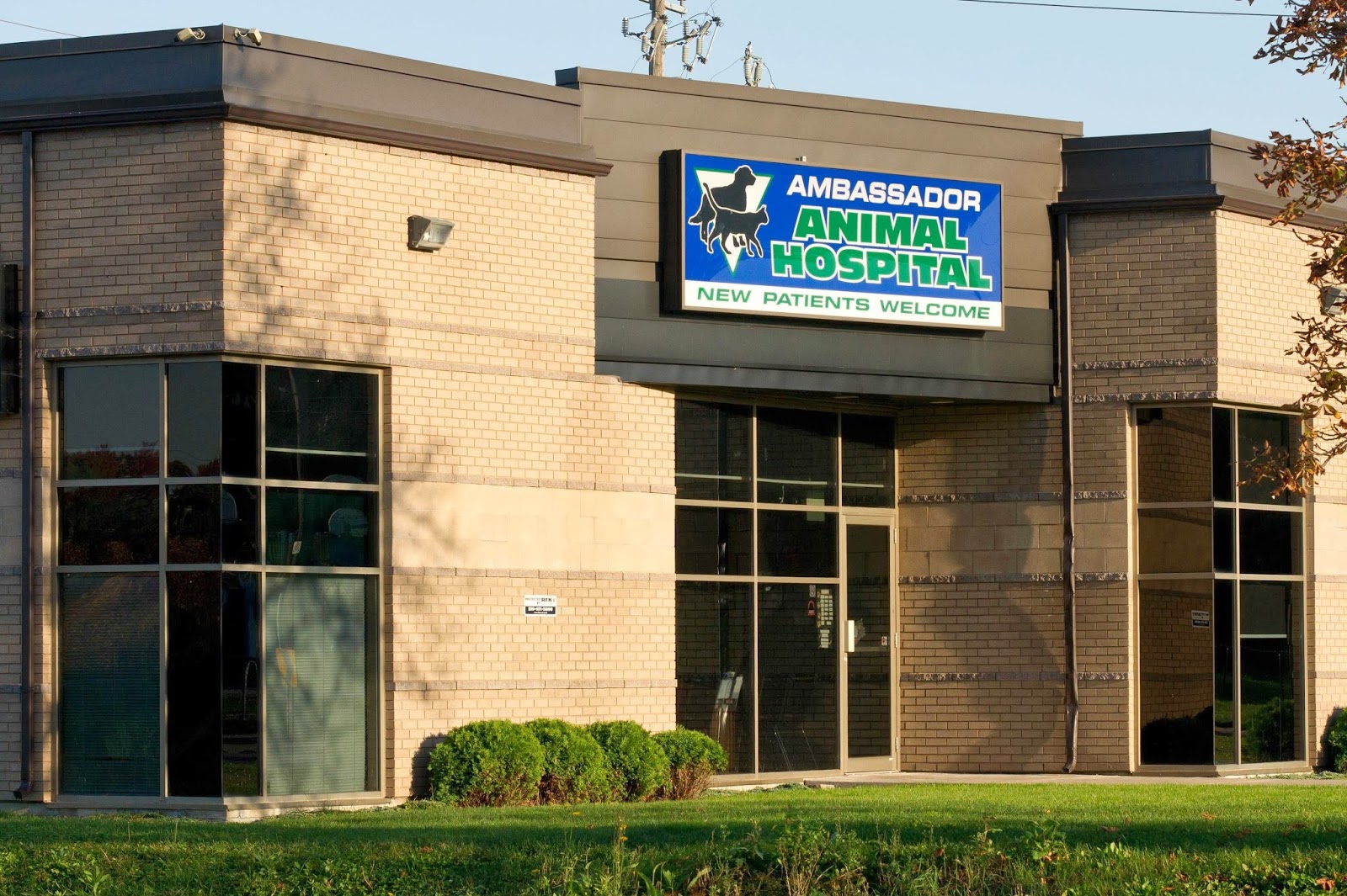 Ambassador store pet clinic