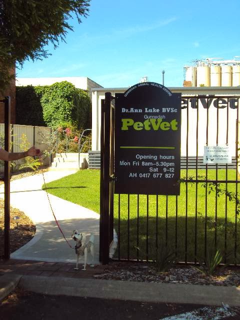 Gunnedah Pet Vet - Gunnedah , Australia