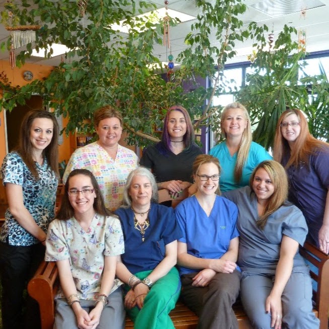 Kreature Komforts Animal Hospital - Sparks , United States