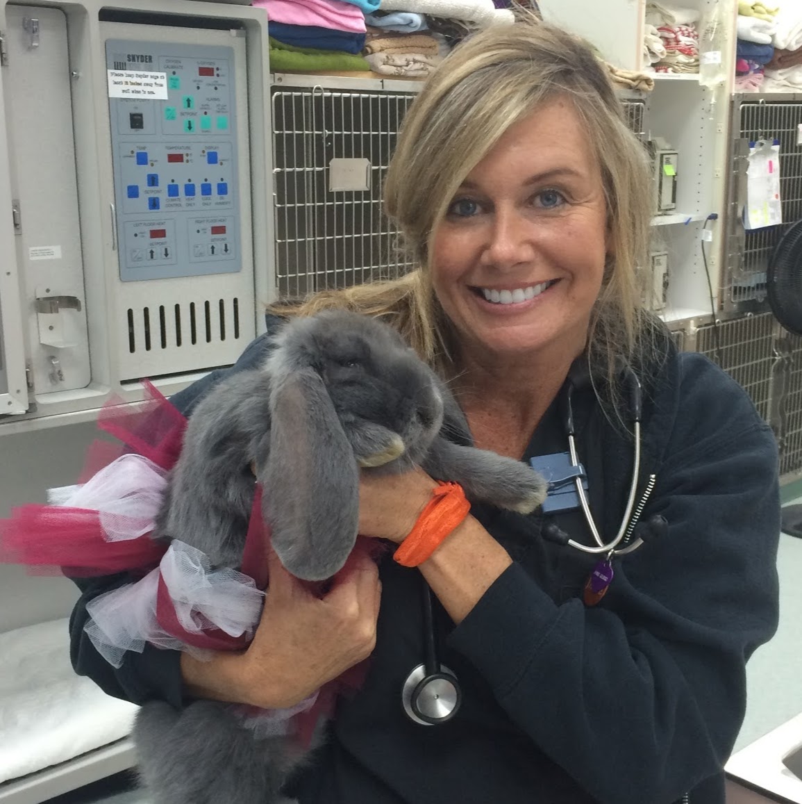 North Texas Emergency Pet Clinic - Carrollton , United States