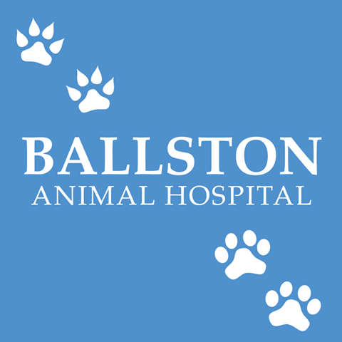 Ballston Animal Hospital - Arlington , United States