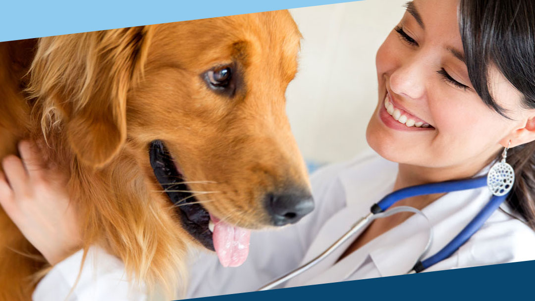 North Road Animal Hospital - Coquitlam , Canada