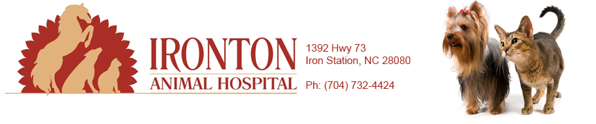 Ironton Animal Hospital - Iron Station , United States