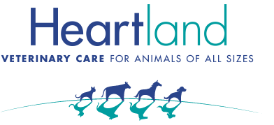 Heartland Animal Hospital And Veterinary Services Listowel - Listowel , Canada