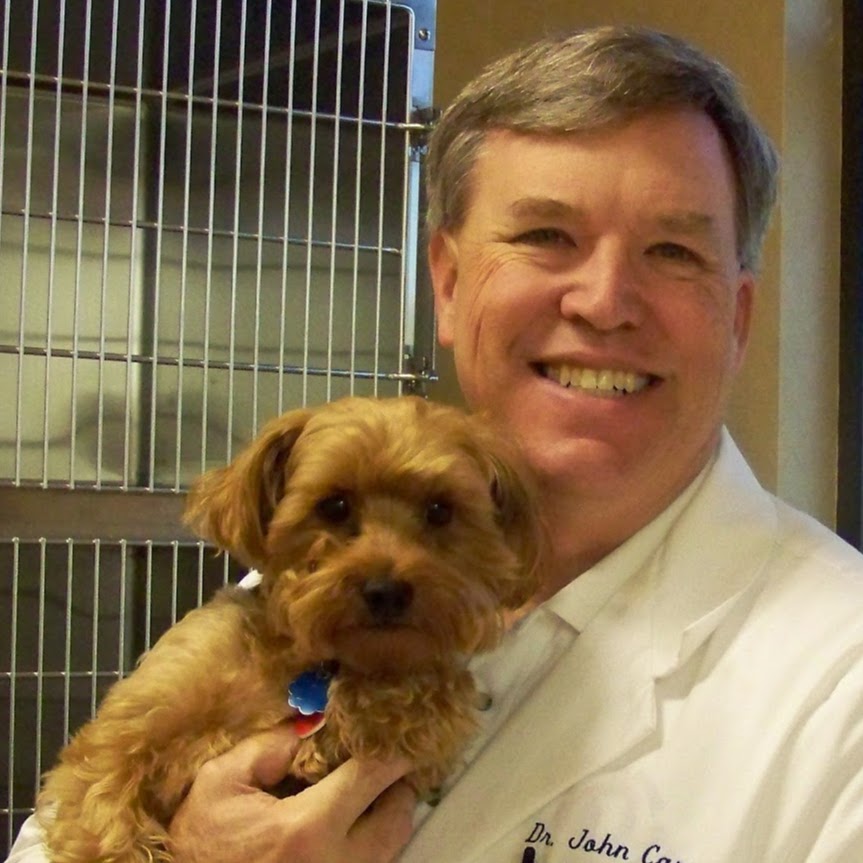 Carr Veterinary Hospital - Oak Ridge , United States