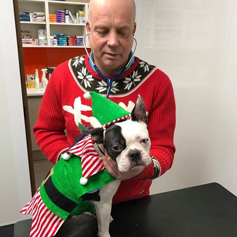 Fishguard Veterinary Services - Fishguard , United Kingdom