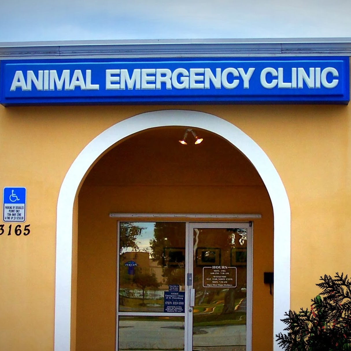 St Petersburg Animal Hospital And Urgent Care - St. Petersburg , United States