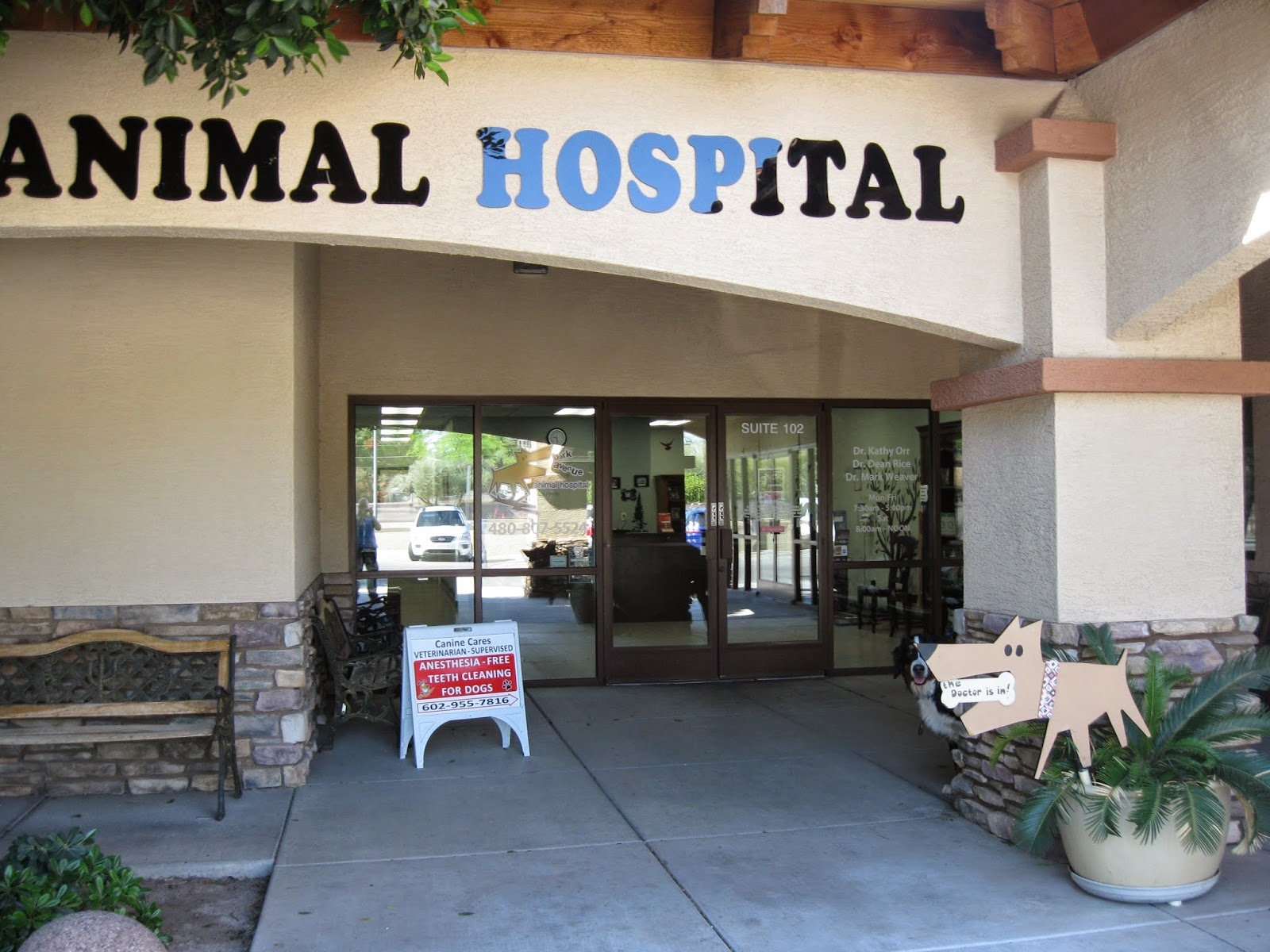 Bark Avenue Pet Resort - Mesa , United States