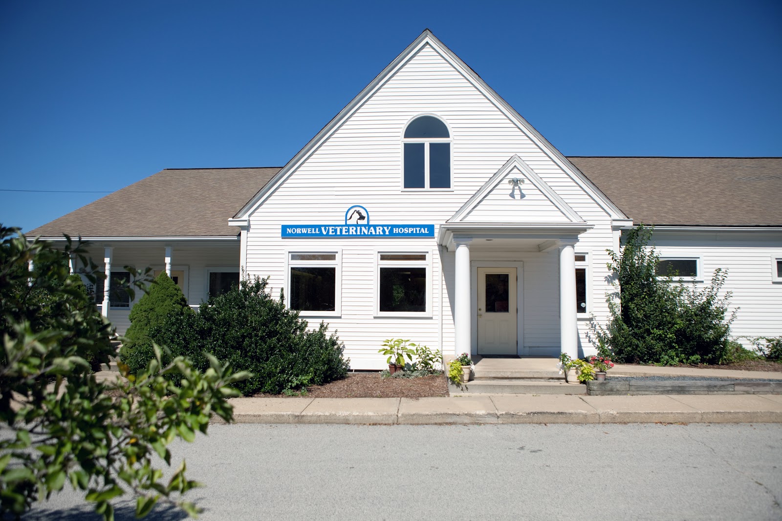Norwell Veterinary Hospital - Norwell , United States
