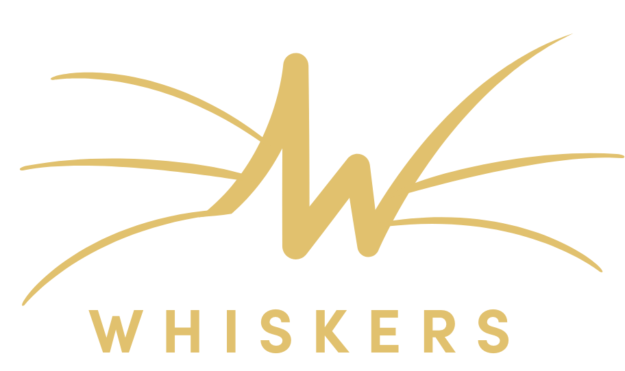 Whiskers Vets - Newton Abbot , United Kingdom