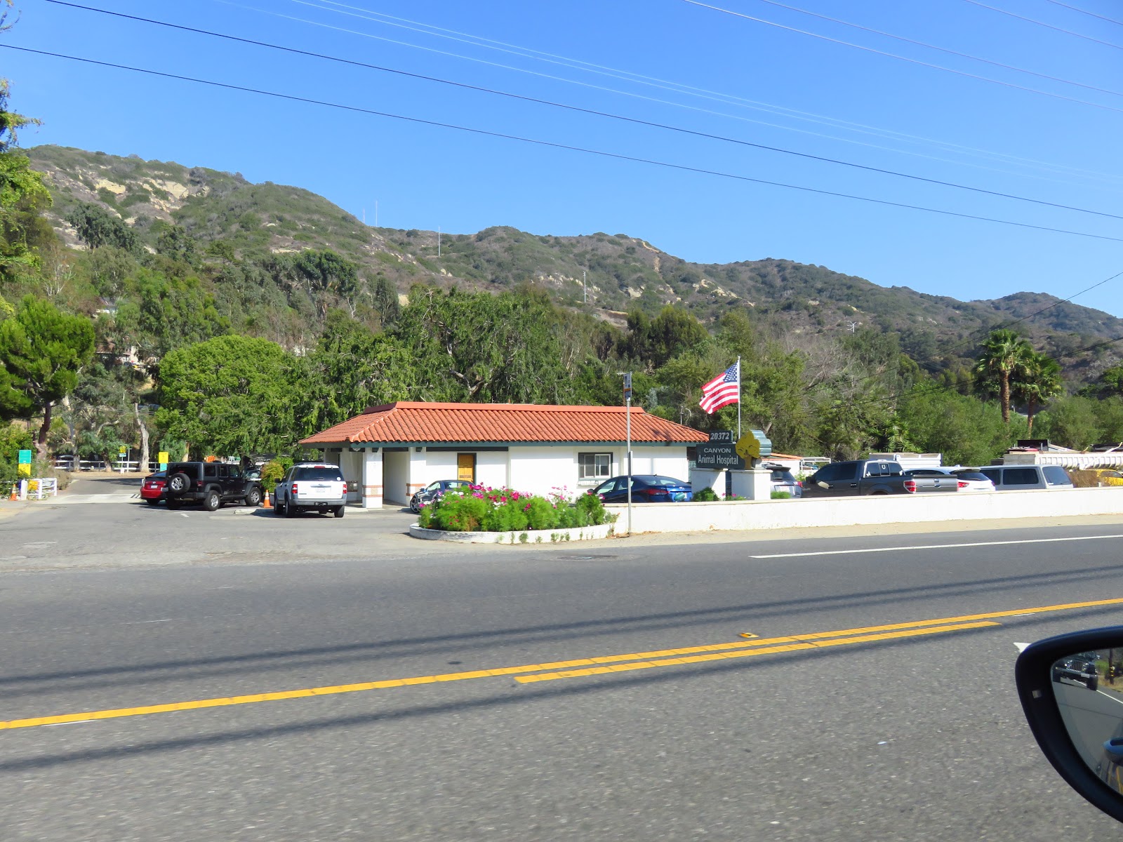 Canyon Animal Hospital - Laguna Beach , United States