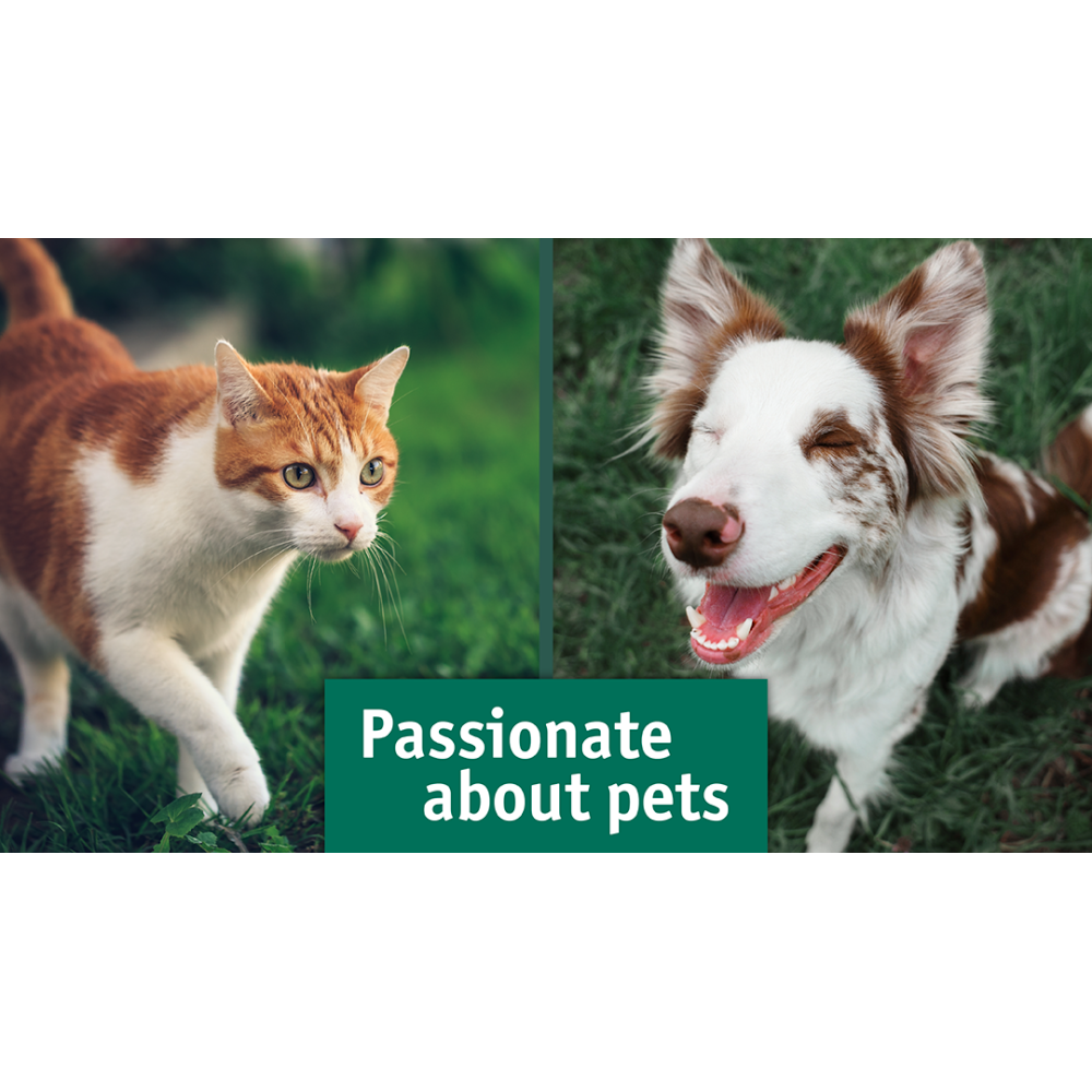 Greencross Vets Wyong - Tuggerah , Australia