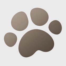 Animal Clinic of Tall Oaks - Reston , United States