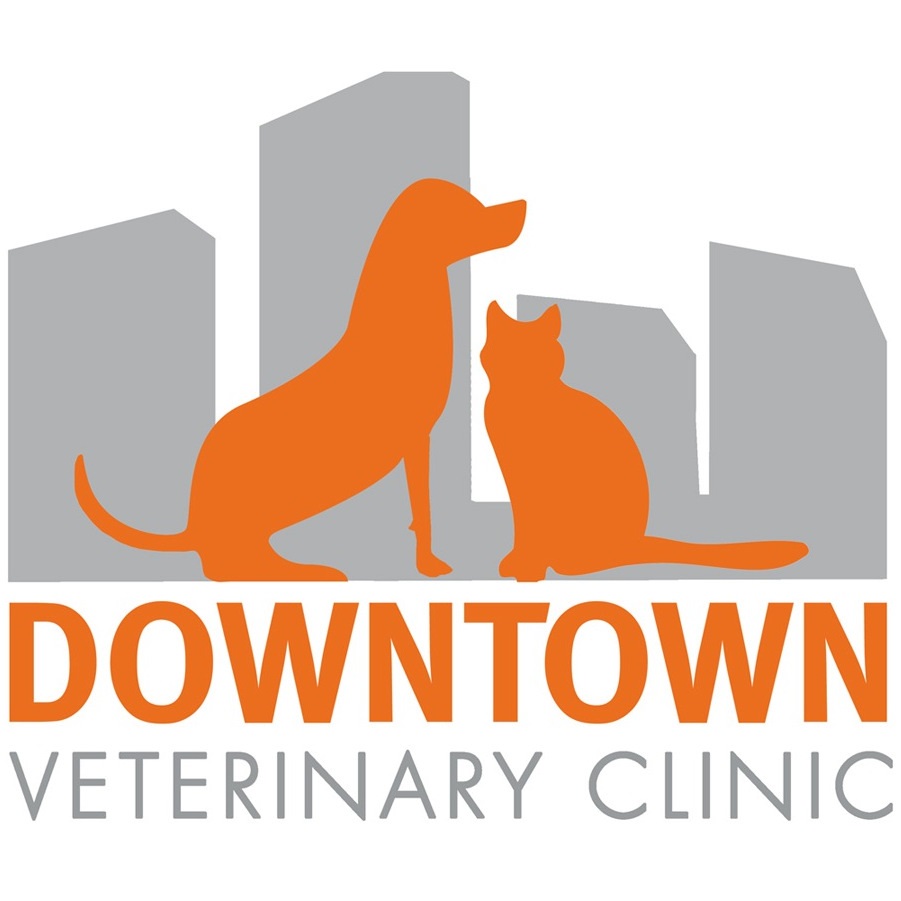 Downtown Veterinary Clinic - Victoria , Canada
