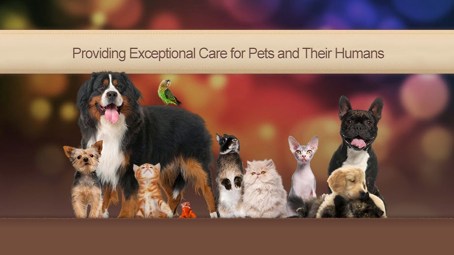 Critter Care Animal Hospital - Flower Mound , United States
