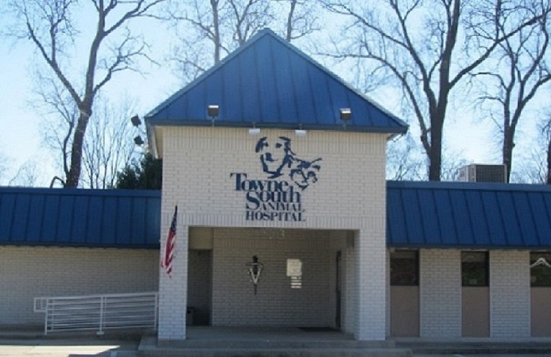 Towne South Animal Hospital - Shreveport , United States