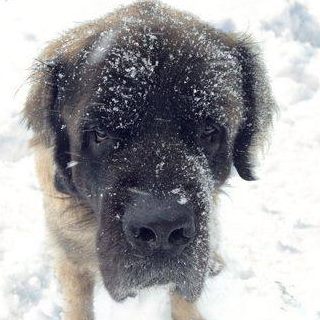 Kenwood Pet Clinic - Minneapolis , United States
