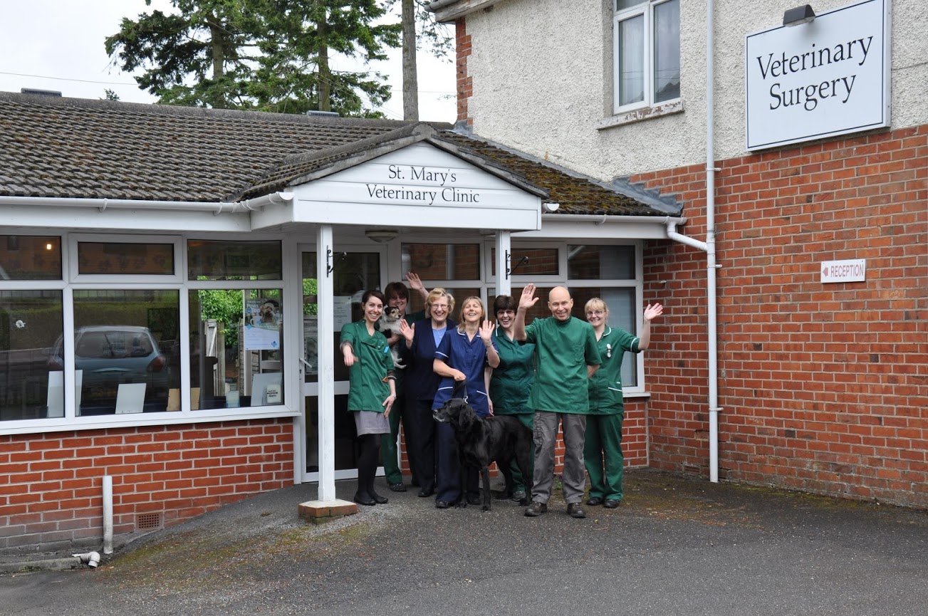St Marys Vets - Ferndown , United Kingdom