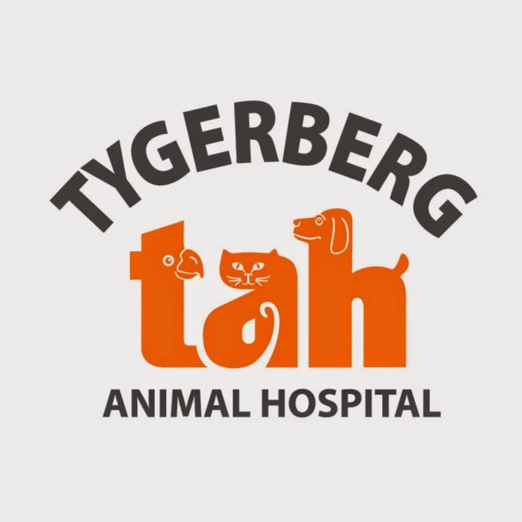 Tah Sonstraal - Cape Town , South Africa