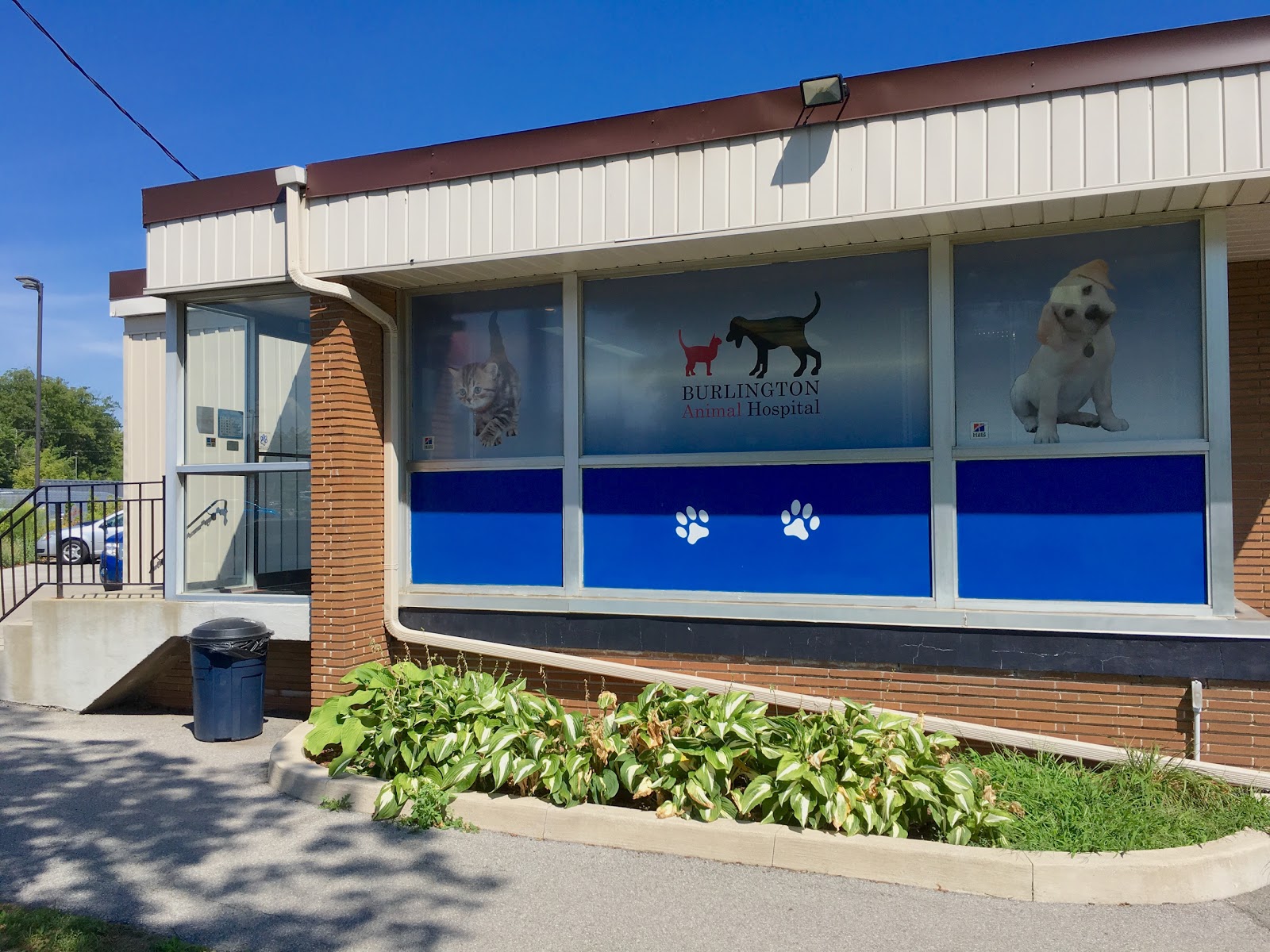 Vca Canada Burlington Animal Hospital - Burlington , Canada