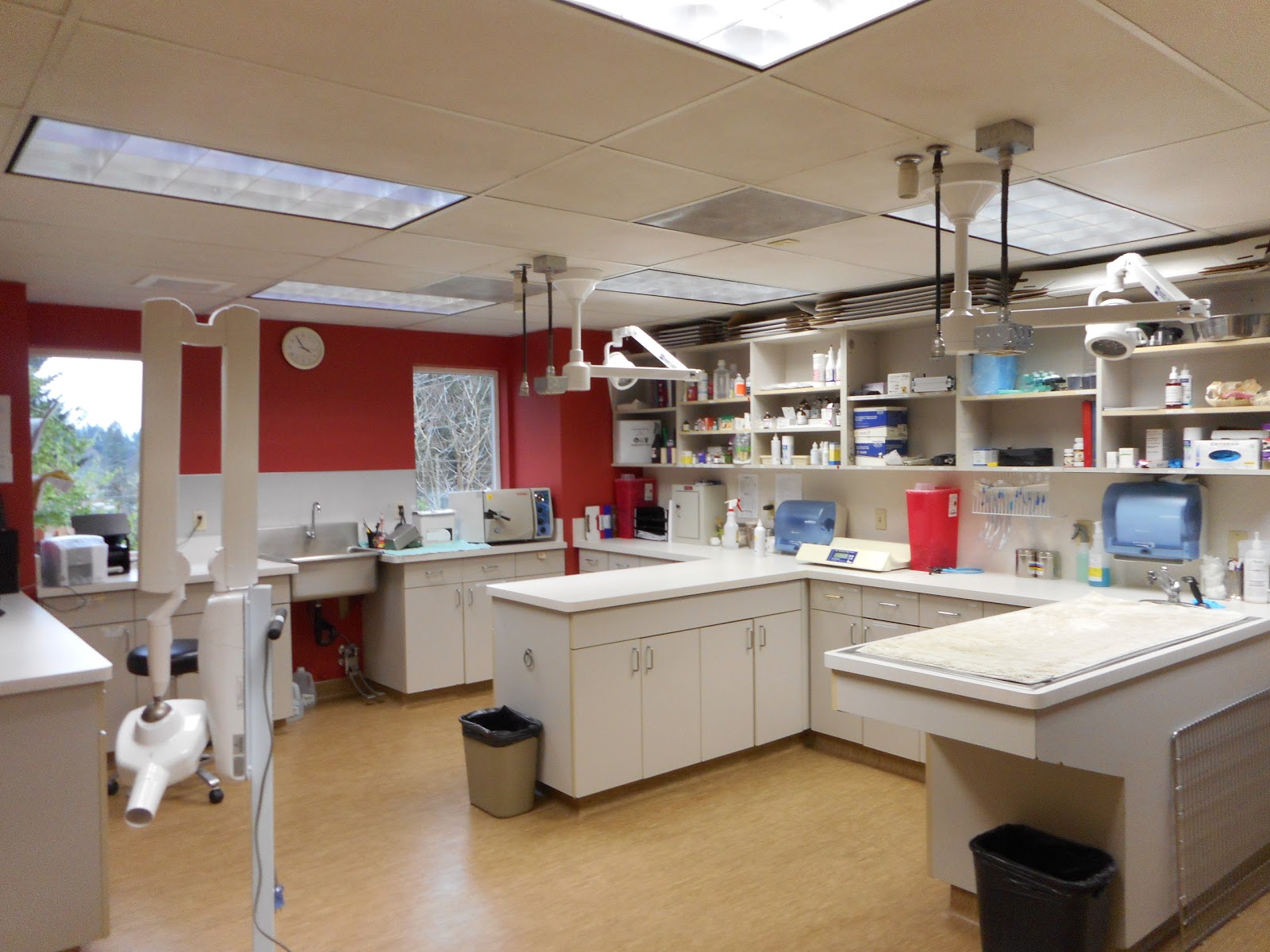 Salmon Creek Veterinary Clinic - Vancouver , United States