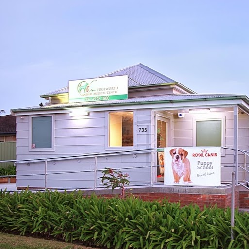 Edgeworth Animal Medical Centre - Edgeworth , Australia
