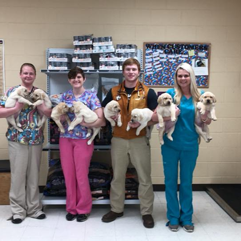 Black Creek Animal Hospital - Black Creek , United States