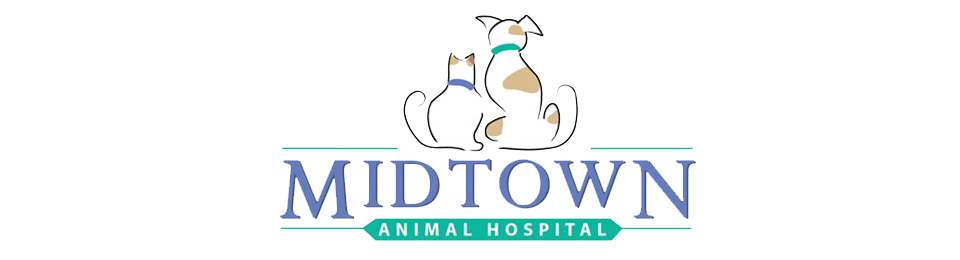 Midtown Animal Hospital - Cobourg , Canada