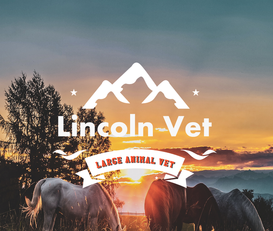 Lincoln Veterinary Services - Smithville , Canada