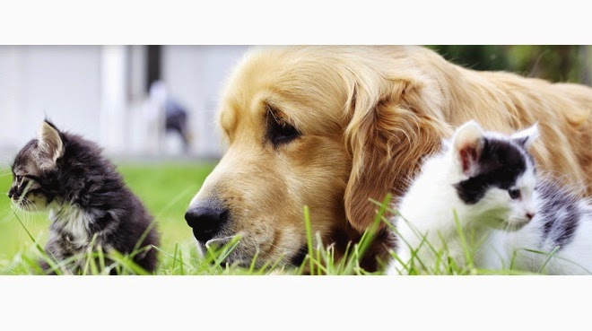 Parkland Veterinary Clinic - Spruce Grove , Canada