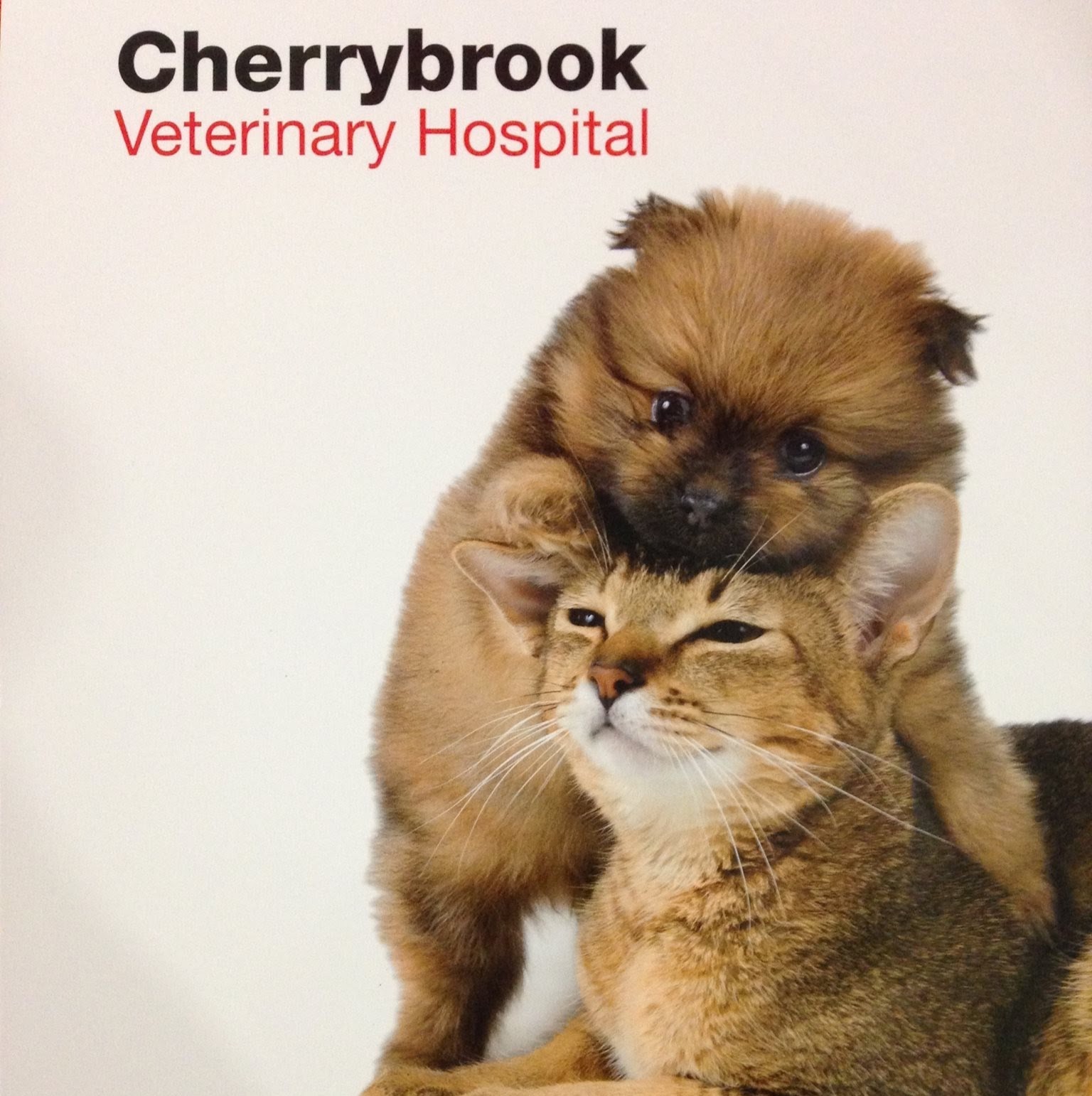 Cherrybrook Vet Hospital - Cherrybrook , Australia