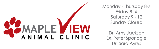 Mapleview Animal Clinic - Barrie , Canada