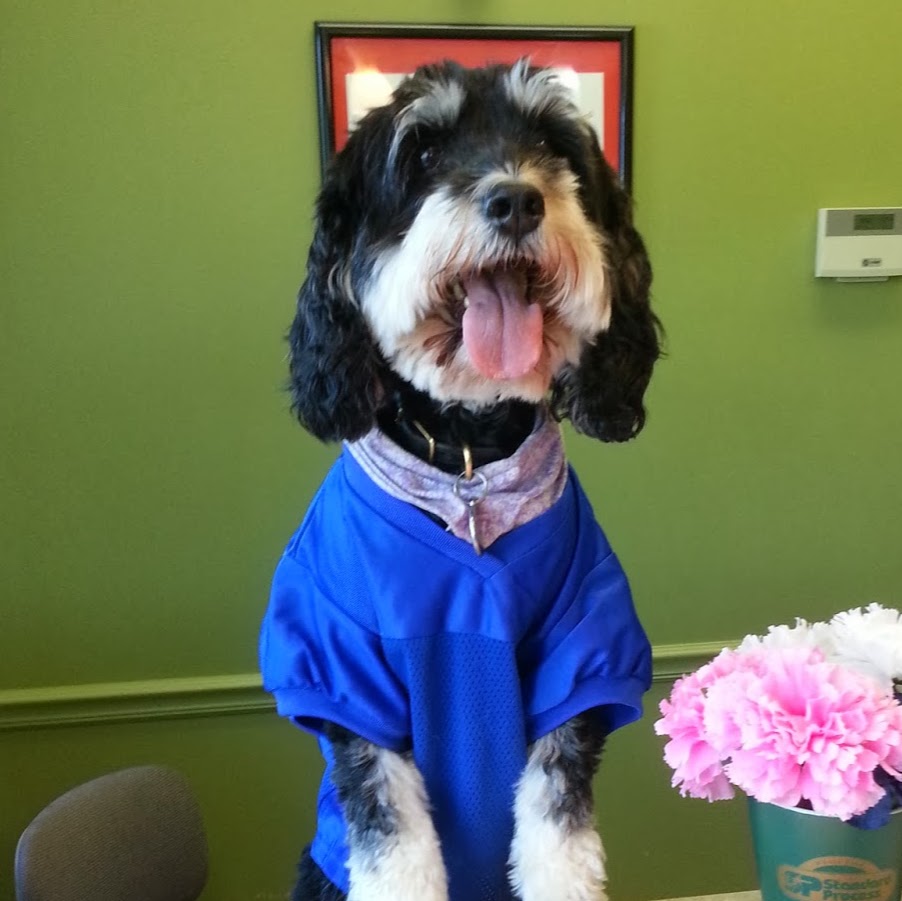 Eastpoint Veterinary Clinic - Louisville , United States
