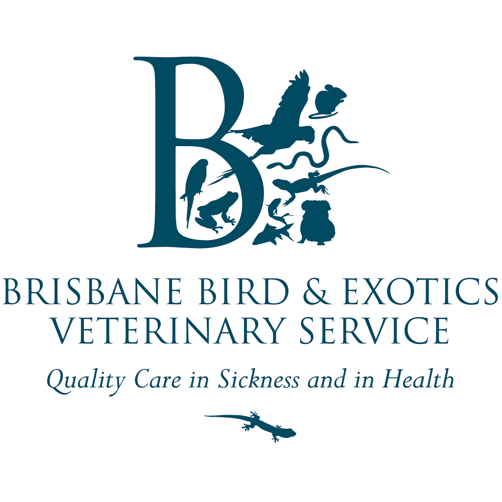 Brisbane Bird And Exotics Veterinary Service - Greenslopes , Australia