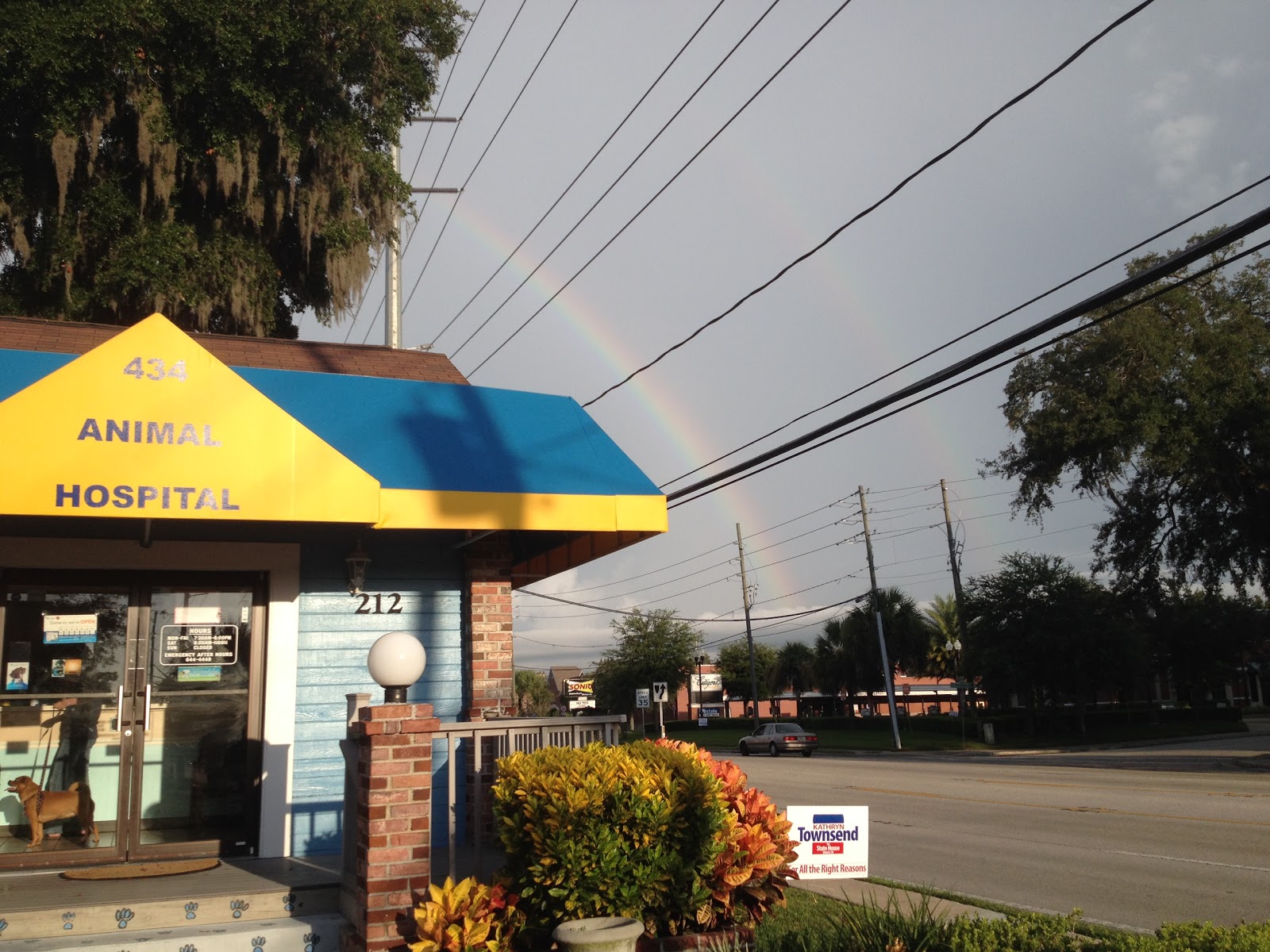 434 Animal Hospital - Longwood , United States