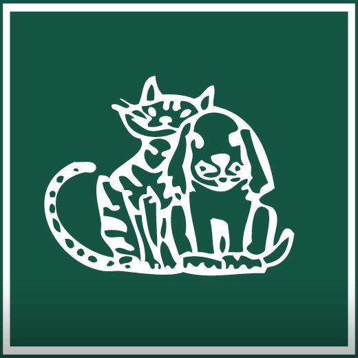 Harwell Veterinary Centre - Plymouth , United Kingdom