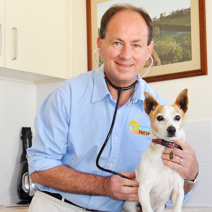 Rosebud Pet Vet - Rosebud , Australia