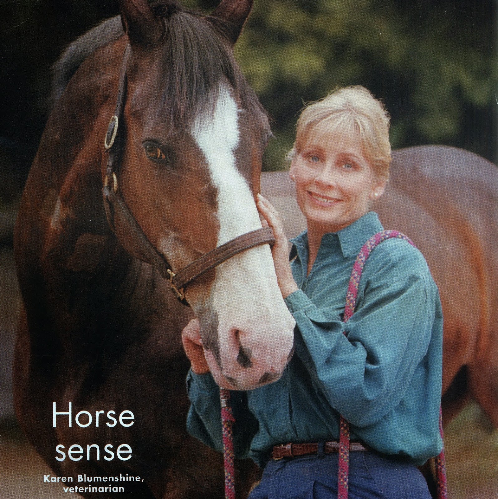 Santa Barbara Equine Practice Karen Blumenshine Dvm - Santa Barbara , United States